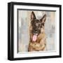 German Shepherd-Keri Rodgers-Framed Art Print