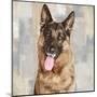 German Shepherd-Keri Rodgers-Mounted Art Print