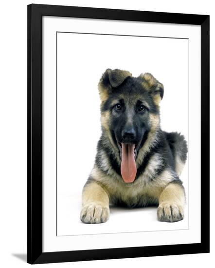 Photographic Print, , large