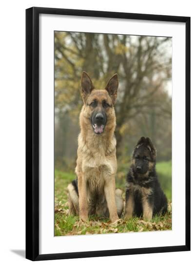 Photographic Print, , large