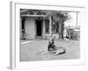German Sheppard Mix Dog in the Front Yard, Ca. 1930.-Kirn Vintage Stock-Framed Photographic Print