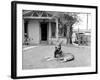 German Sheppard Mix Dog in the Front Yard, Ca. 1930.-Kirn Vintage Stock-Framed Photographic Print