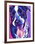 German Short Hair Pointer - Bella-Dawgart-Framed Giclee Print