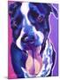 German Short Hair Pointer - Bella-Dawgart-Mounted Giclee Print