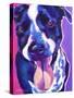 German Short Hair Pointer - Bella-Dawgart-Stretched Canvas