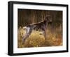 German Short Hair Pointer, Connecticut-Lynn M^ Stone-Framed Photographic Print