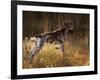 German Short Hair Pointer, Connecticut-Lynn M^ Stone-Framed Photographic Print