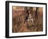 German Short Hair Pointer-Lynn M^ Stone-Framed Photographic Print