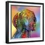 German Short hair Pointer-Mark Ashkenazi-Framed Premium Giclee Print