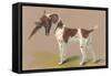 German Short-Haired Pointer with Pheasant-null-Framed Stretched Canvas