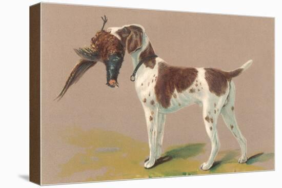 German Short-Haired Pointer with Pheasant-null-Stretched Canvas