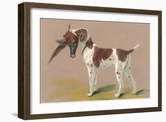 German Short-Haired Pointer with Pheasant-null-Framed Art Print