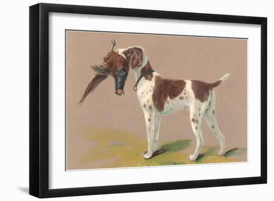 German Short-Haired Pointer with Pheasant-null-Framed Art Print