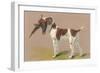 German Short-Haired Pointer with Pheasant-null-Framed Art Print