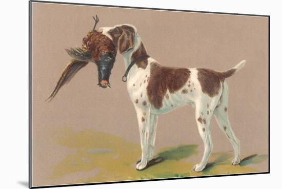 German Short-Haired Pointer with Pheasant-null-Mounted Art Print