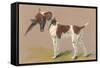 German Short-Haired Pointer with Pheasant-null-Framed Stretched Canvas