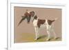 German Short-Haired Pointer with Pheasant-null-Framed Premium Giclee Print