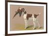 German Short-Haired Pointer with Pheasant-null-Framed Art Print
