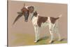 German Short-Haired Pointer with Pheasant-null-Stretched Canvas