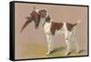 German Short-Haired Pointer with Pheasant-null-Framed Stretched Canvas