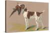 German Short-Haired Pointer with Pheasant-null-Stretched Canvas