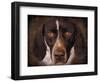 German Shorthaired Pointer Portrait-Jai Johnson-Framed Giclee Print