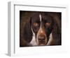 German Shorthaired Pointer Portrait-Jai Johnson-Framed Giclee Print