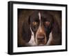 German Shorthaired Pointer Portrait-Jai Johnson-Framed Giclee Print