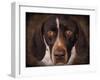 German Shorthaired Pointer Portrait-Jai Johnson-Framed Giclee Print