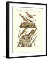 German Singing Birds-null-Framed Giclee Print