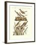 German Singing Birds-null-Framed Giclee Print