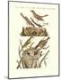 German Singing Birds-null-Mounted Giclee Print