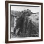 German Sniper in a Trench on the Western Front During World War I-Robert Hunt-Framed Photographic Print