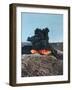 German Soldier Using a Flamethrower, Russia, 1941-null-Framed Giclee Print