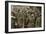 German Soldiers Captured after the Fighting at Mortain and Falaise, 1944-English Photographer-Framed Giclee Print