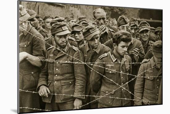 German Soldiers Captured after the Fighting at Mortain and Falaise, 1944-English Photographer-Mounted Giclee Print