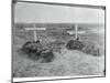 German Soldiers' Graves-null-Mounted Photographic Print