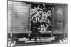 German Soldiers in a Railway Wagon, France, August 1940-null-Mounted Giclee Print
