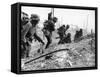 German Soldiers of the German Mortar Detachment in the Battle for Stalingrad August 1942-null-Framed Stretched Canvas