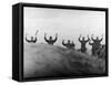 German Soldiers Surrendering with Raised Arms Shortly After the Allied D-Day Invasion of France-null-Framed Stretched Canvas