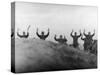 German Soldiers Surrendering with Raised Arms Shortly After the Allied D-Day Invasion of France-null-Stretched Canvas