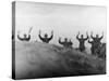 German Soldiers Surrendering with Raised Arms Shortly After the Allied D-Day Invasion of France-null-Stretched Canvas
