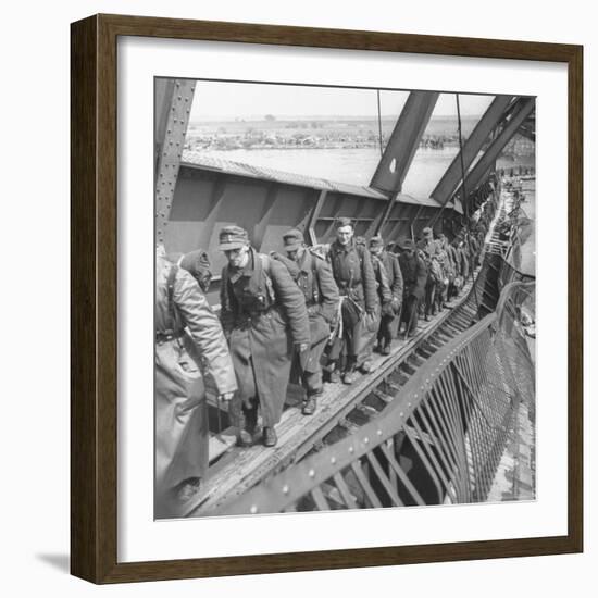 German Soldiers Walk over Elbe River to Surrender to Allied Forces in the Waning Days of WWII-William Vandivert-Framed Photographic Print