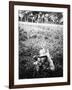 German Sturmtruppen Soldier in Training Throwing Hand Grenades-null-Framed Giclee Print