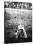 German Sturmtruppen Soldier in Training Throwing Hand Grenades-null-Stretched Canvas