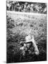 German Sturmtruppen Soldier in Training Throwing Hand Grenades-null-Mounted Giclee Print