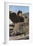 German Tank Commander-Unsere Wehrmacht-Framed Photographic Print