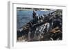 German Tank Fording a River, Russia, 1941-null-Framed Giclee Print