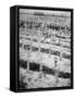 German War Graves on the Western Front, November 1918-null-Framed Stretched Canvas