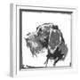 German Wire Haired Pointer-null-Framed Art Print